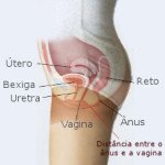 PREVENÇÃO DA INFECÇÃO URINÁRIA